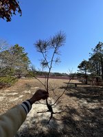 IMG_0427.jpg IMG_0427.jpg