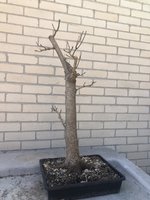 8B410C6D-BCCE-47F2-87F4-BD9590008938.jpeg 8B410C6D-BCCE-47F2-87F4-BD9590008938.jpeg