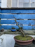 IMG_3646.jpg