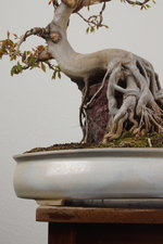 DSC07907.JPG