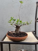 20220324_073402.jpg