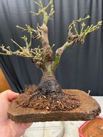 IMG_6758.jpg