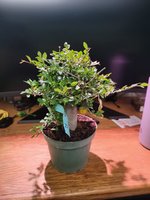 20220330_180911.jpg