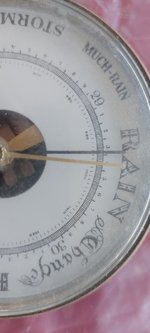 20220331_160206.jpg
