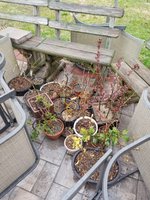 20220401_082517.jpg