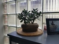 20220401_105338.jpg