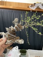 842A158D-6582-4C06-9363-346DBDF31842.jpeg