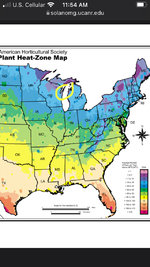 22B563E9-65DA-43C9-99A8-B634CCB609D2.jpeg