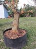 20140404_181821.jpg