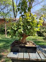 IMG_20220417_112031.jpg