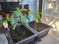 20220422_160413.jpg
