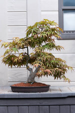 DSC_0086.jpg DSC_0086.jpg