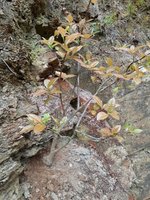 20220426_091130.jpg
