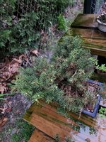 20220426_061425.jpg