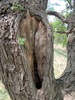 IMG_2316.jpeg