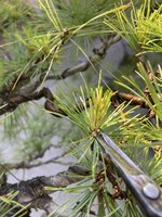 IMG_5344.JPG