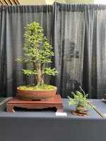 301F3CA5-C129-43B3-AC67-F9E12C7D226F.jpeg 301F3CA5-C129-43B3-AC67-F9E12C7D226F.jpeg