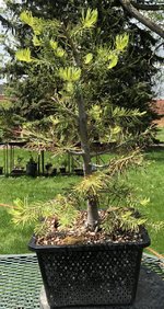 2F820A1A-AA7B-419E-BD37-6BAD439BE293.jpeg 2F820A1A-AA7B-419E-BD37-6BAD439BE293.jpeg