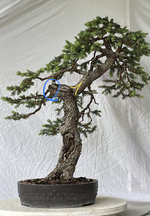 D19FA618-F88C-4A12-815D-14F1298D98D2.jpeg D19FA618-F88C-4A12-815D-14F1298D98D2.jpeg