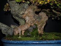 CH150438.JPG