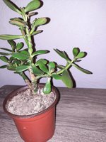 20220524_191755.jpg