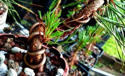 20220525_063030.jpg