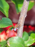 20220531_122451.jpg 20220531_122451.jpg