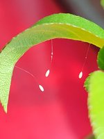 20220531_122413.jpg 20220531_122413.jpg