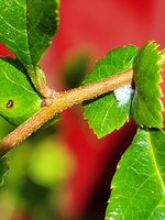 20220531_122301.jpg 20220531_122301.jpg