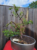 20220517_140708.jpg 20220517_140708.jpg