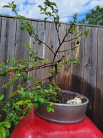 20220517_140716.jpg 20220517_140716.jpg