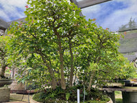 IMG_9697.jpeg