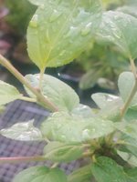 20220602_052021.jpg 20220602_052021.jpg