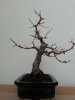 20140417_132943.jpg