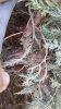 20140503_151402_20140503_154345.jpg