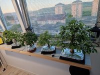 20220521_054708.jpg