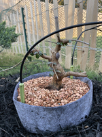 1656509805020.png 1656509805020.png