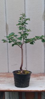 20220701_220140.jpg 20220701_220140.jpg
