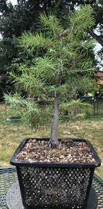 2BB72A01-A08F-4CCA-9C64-8AAB7258B19D.jpeg 2BB72A01-A08F-4CCA-9C64-8AAB7258B19D.jpeg