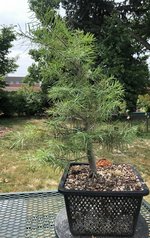 BFAC5FD4-658E-4E52-B312-9897A2BCD771.jpeg BFAC5FD4-658E-4E52-B312-9897A2BCD771.jpeg