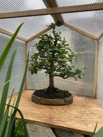 IMG_1179.jpeg