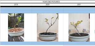 Year End Through 2021.jpg