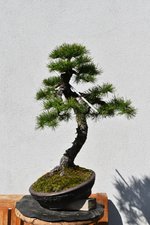 NIK_0589_right side.jpg