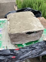 concrete started pot 1.jpg