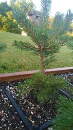 IMG_20220719_075734.jpg