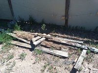 IMG_20220721_104558_742.jpg