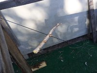 IMG_20220721_172834_877.jpg