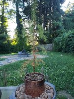 20220722_190331.jpg