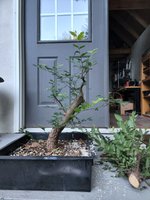 20220724_075950.jpg 20220724_075950.jpg