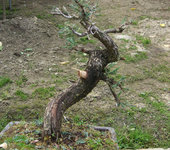 08_04_sanjose2_sm2.jpg